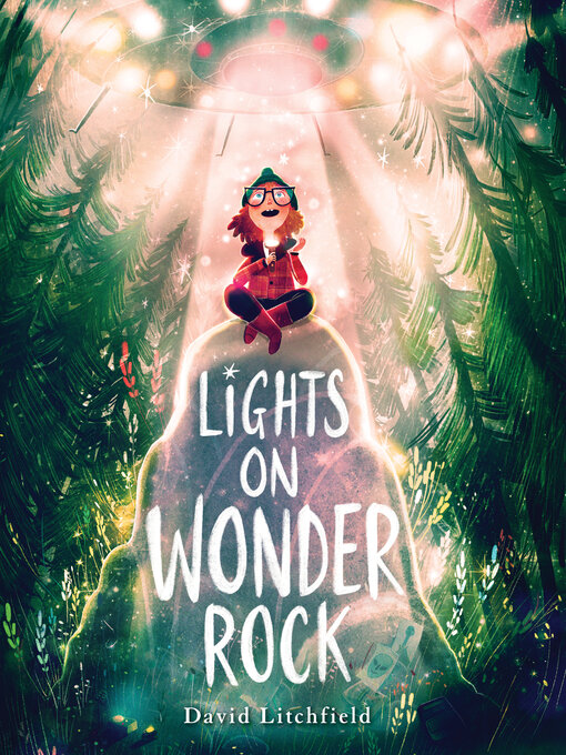 Cover image for Lights on Wonder Rock